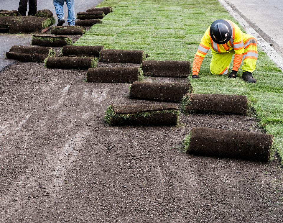 Landscaping Services