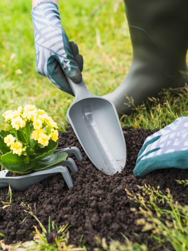 Landscaping Services