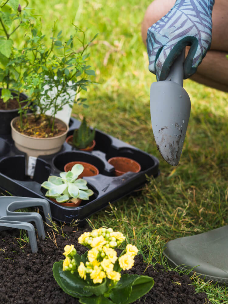 Landscaping Services