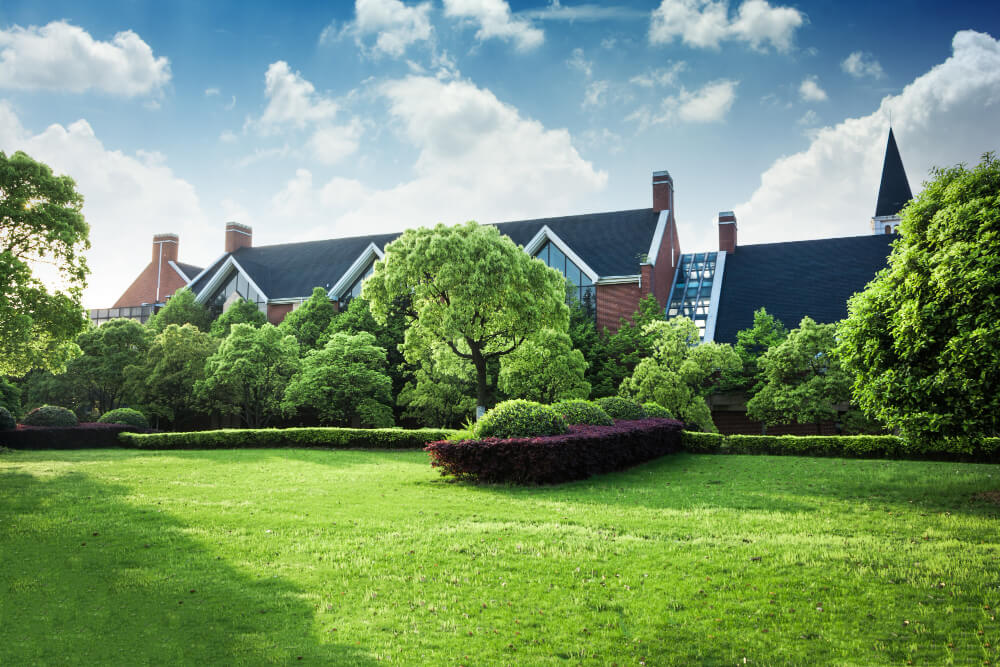 Landscaping Company 2