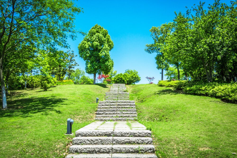 Landscaping Company