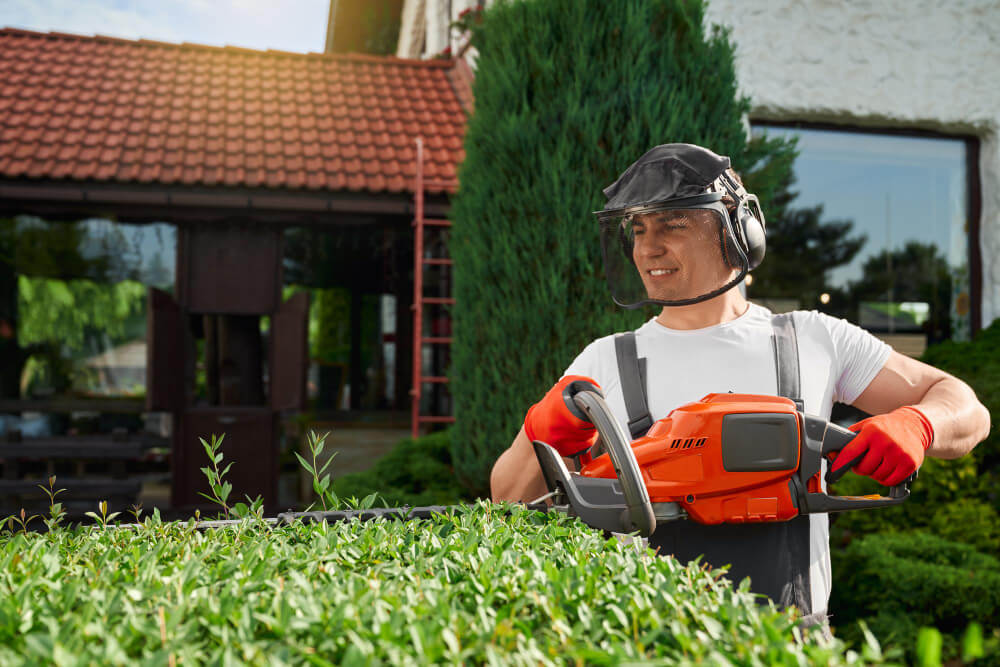 Landscaping Services