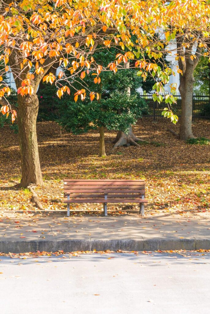 Fall Yard Clean-Up 1