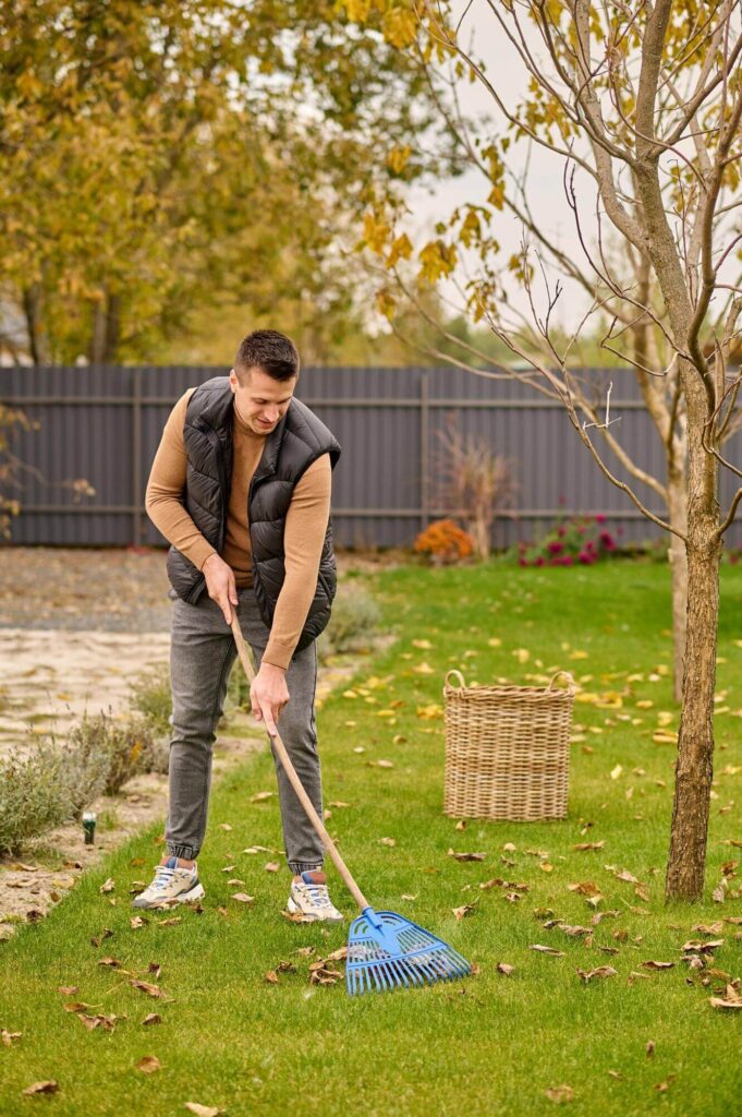 Fall Yard Clean-Up 3