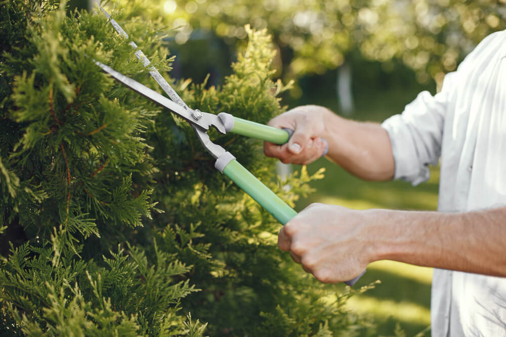 Gardening Services 1