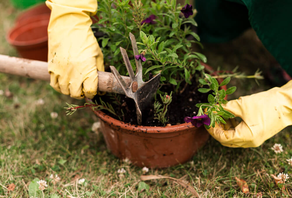 Gardening Services 2