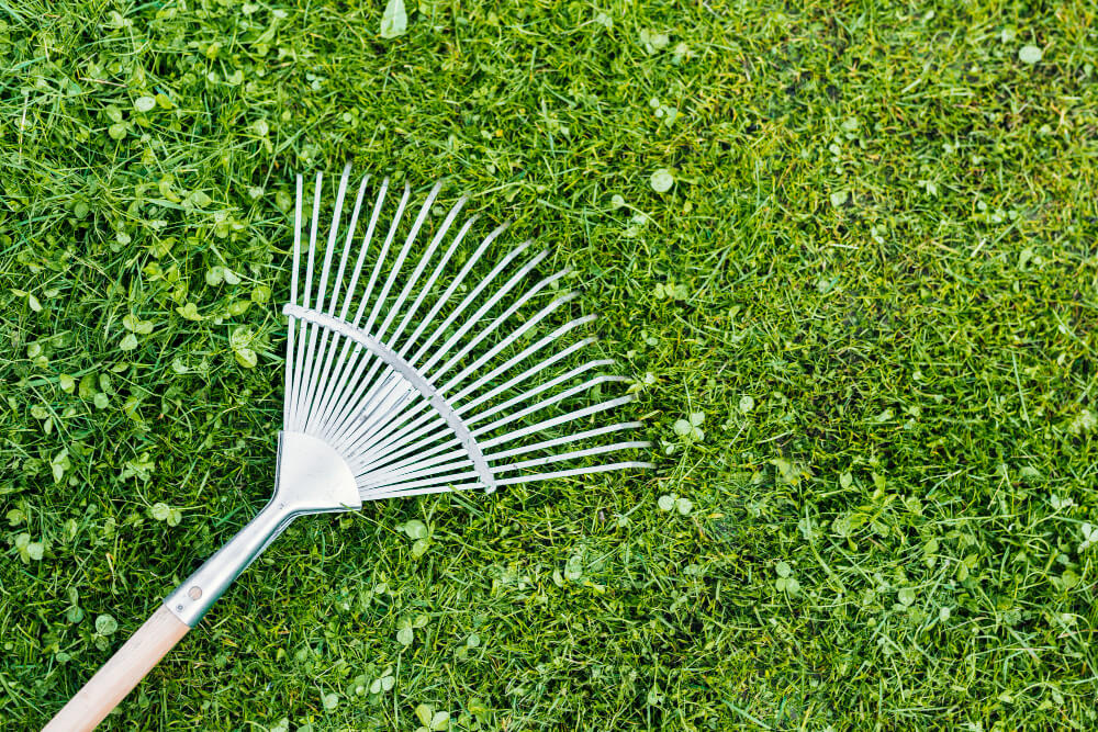 Lawn Mowing 2