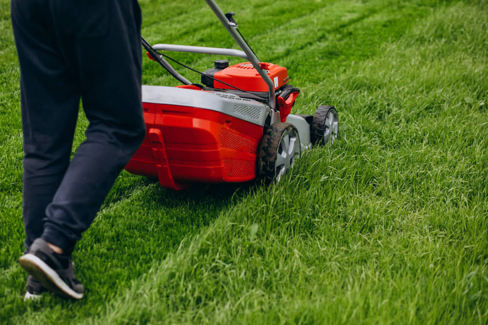 Lawn Mowing 3