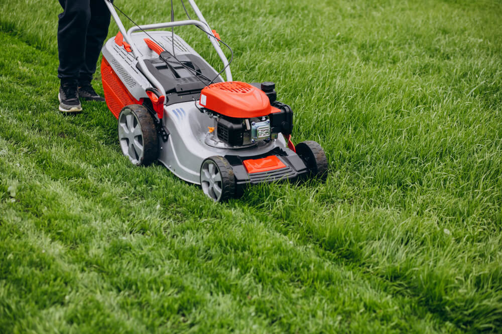 Lawn Mowing 4