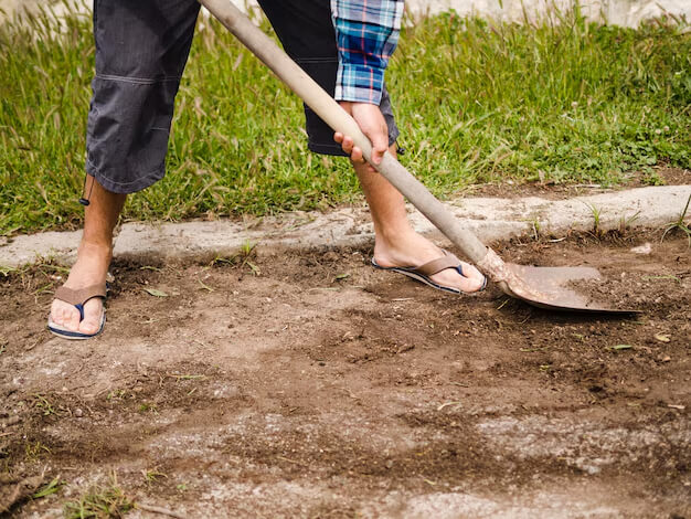 Sod Installation Service 02