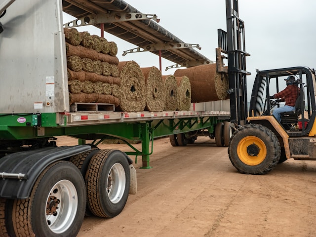 Sod Installation Service 1