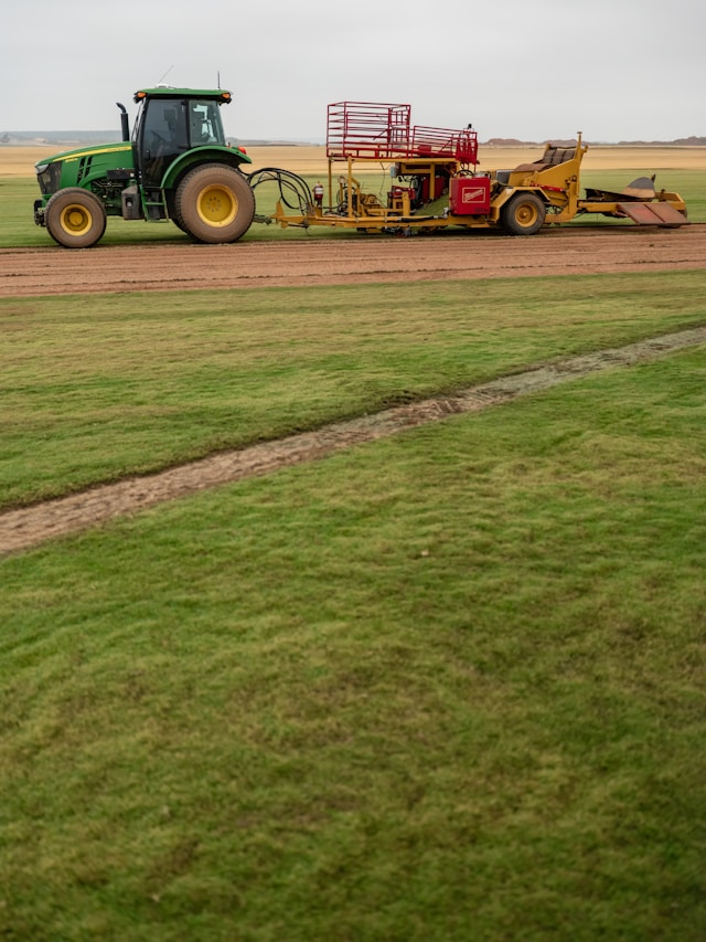 Sod Installation Service 3