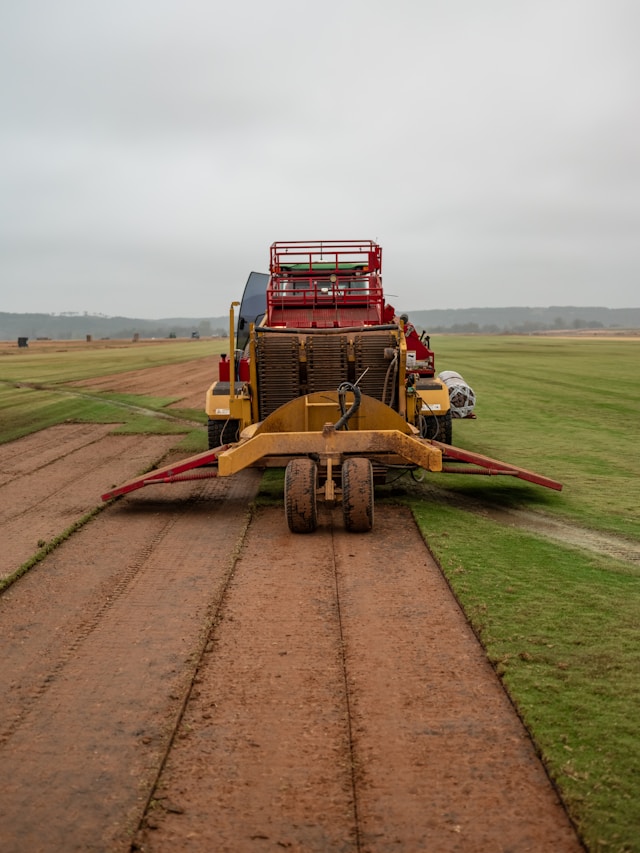 Sod Installation Service 4