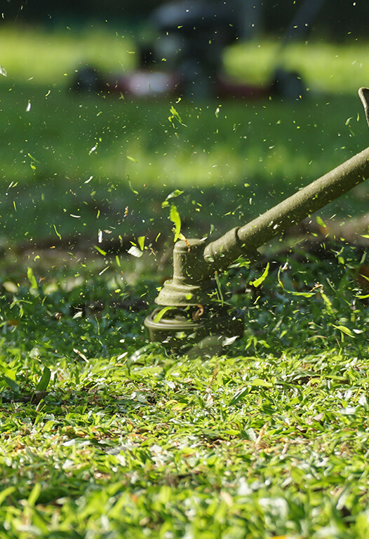 Lawn Care Services