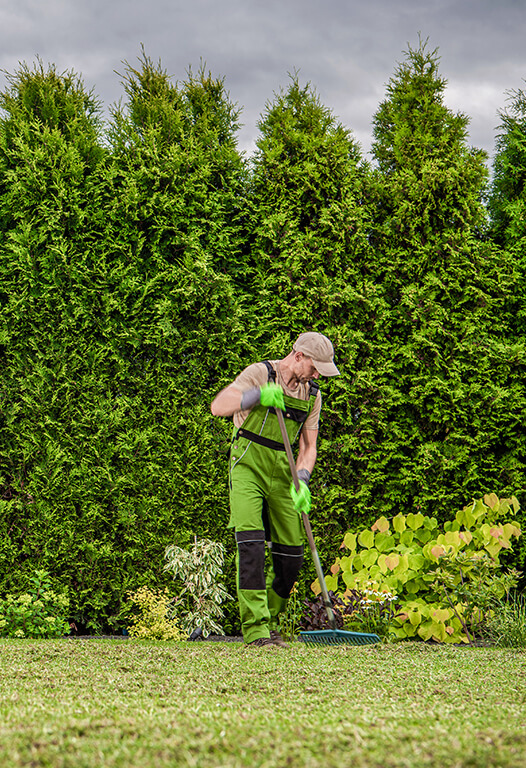 Lawn Maintenance Services