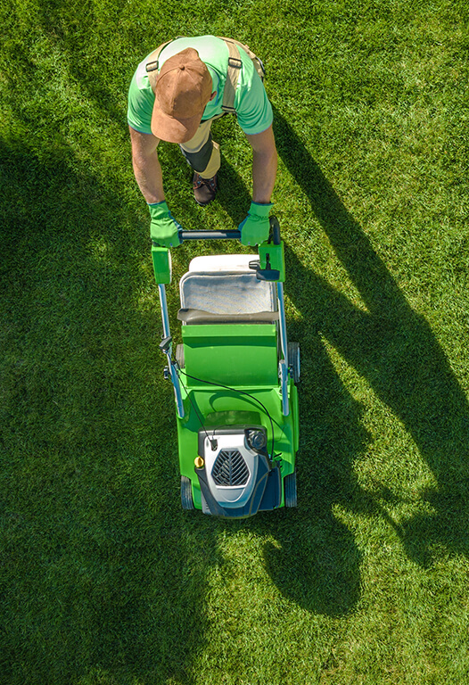 Lawn Mowing Services