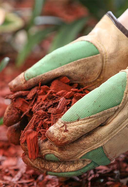 mulch