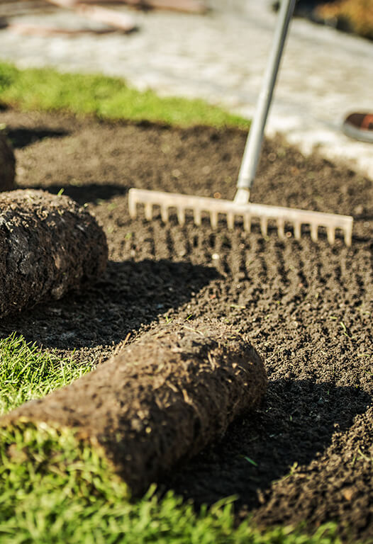 sod-installation-service