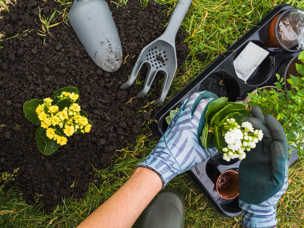 Gardening Services