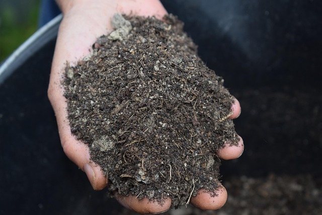 Mulching Services